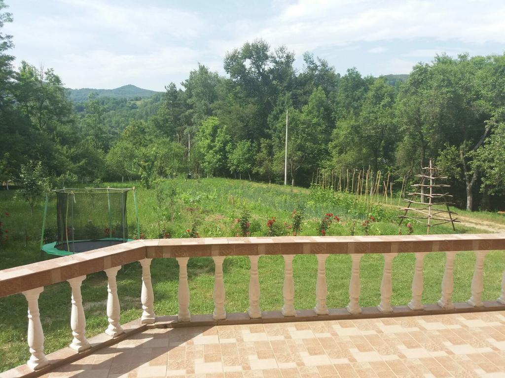 Casa Dobrin Otel Arefu Dış mekan fotoğraf